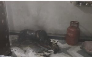 अग्नि को साक्षी मानकर सातफेर लिऐ उसी पत्नी को जिंदा जला दिया