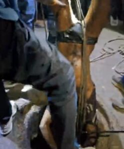 सीवर टैंक में जहरीली गैस से नगर निगम के दो कर्मचारियों की मौत