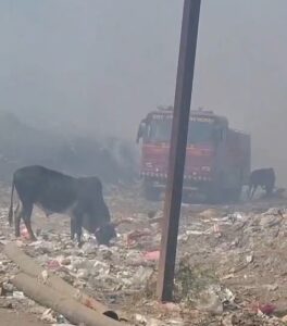 ट्रेचिंग ग्राउंड में लगी आग, धुएं के गुबार से क्षेत्र में दहशत