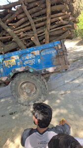 अवैध लकड़ी कटाई चरम पर, वन क्षेत्र खत्म होने की कगार पर—प्रशासन बना मूकदर्शक