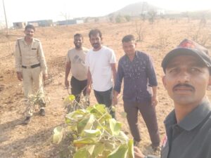 भैरव डूंगरी क्षेत्र में लगी आग, 112 टीम की तत्परता से बड़ा हादसा टला
