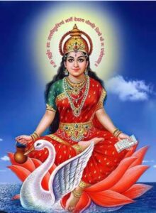 बुद्ध पूर्णिमा पर शाजापुर में घर-घर गूंजा गायत्री मंत्र, हजारों परिवारों ने किया यज्ञ
