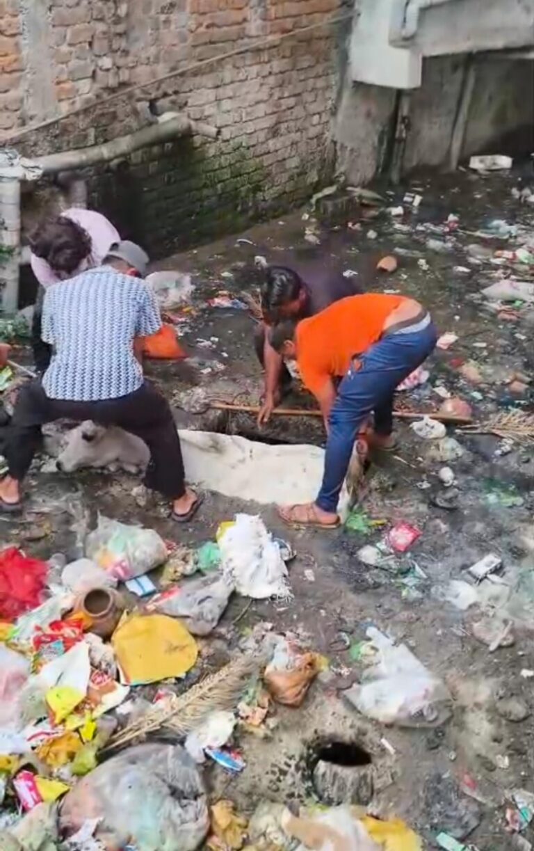 नाले के गहरे चैंबर में फंसी गाय को गौरक्षा सेना ने सुरक्षित निकाला