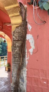 प्राचीन भीम घाट मंदिर में जर्जर पिलर का प्लास्टर भरभराकर गिरा