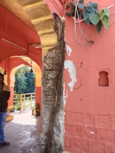 प्राचीन भीम घाट मंदिर में जर्जर पिलर का प्लास्टर भरभराकर गिरा,
