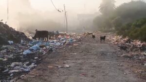 वार्ड क्रमांक 10 में गंदगी से रहवासी परेशान, शिकायतों के बावजूद नहीं हुआ समाधान